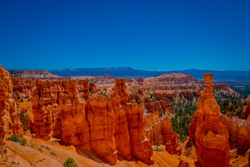 Great spires carved away by erosion in Bryce Canyon National Park, Utah, USA. The largest spire is called Thor's Hammer.