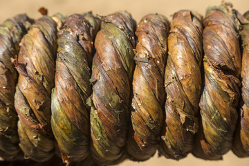 Fumo artesanal em corda secando ao sol em propriedade rural do Brasil