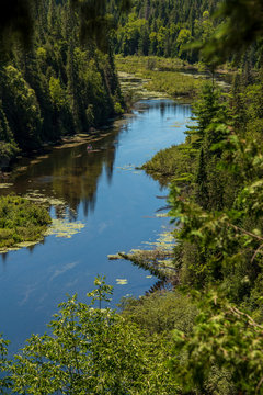 large, calm river bordered by forest