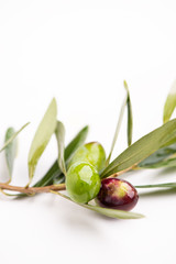 Three olives and olive oils with leaves