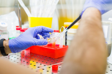 Laboratory work with tissue cultures