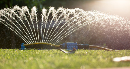 Irrigation system on grass field in garden