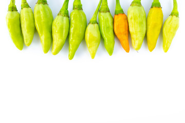 Green chilli pepper on top solated on white background