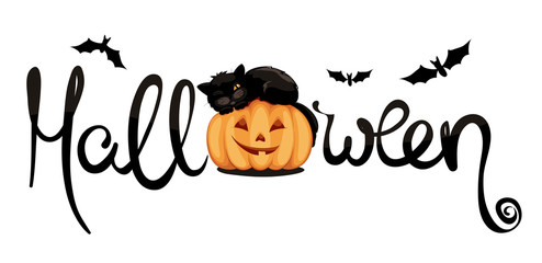 Black cat on pumpkin / Funny vector illustration, Halloween decoration