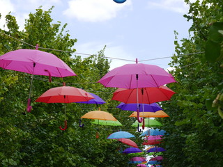 kolorowe parasole  - obrazy, fototapety, plakaty