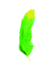 feather