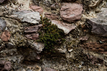 Stones textture
