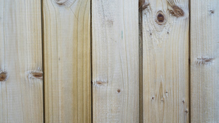 Abstract texture wood background