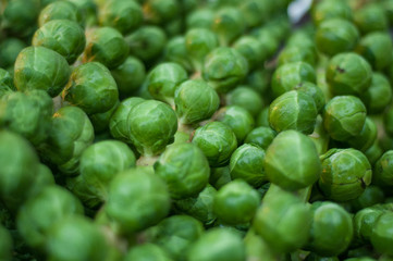 frischer Rosenkohl am Stängel