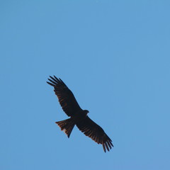 Processed with VSCO with  preset