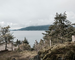 Ocean view