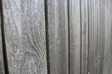 Fototapeta premium Fence