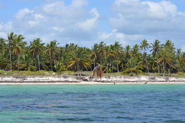 Islas de palmeras, Republica Dominicana