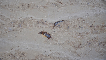 Sandstein Texture