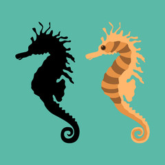  sea-horse vector illustration flat style 