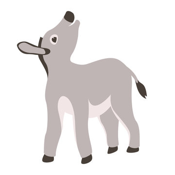 burro   cartoon vector illustration flat style front 