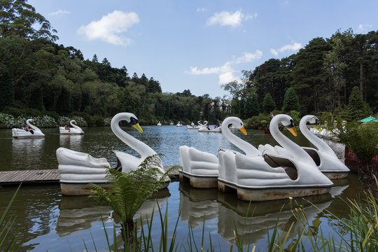Lago Negro