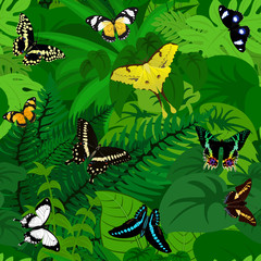 Fototapeta na wymiar seamless butterflies of Africa sketch
