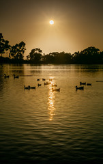 Naklejka premium sunset over lake with ducks