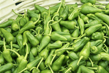 Fresh Padron peppers