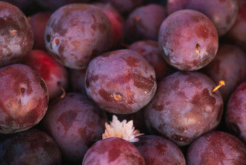 Pile of Plums