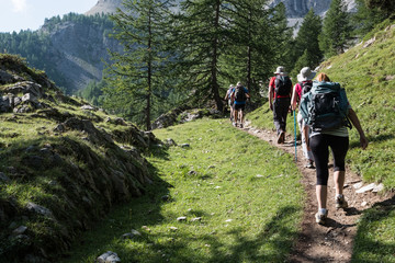 Photo de paysage panoraminque de haute montagne et de chemins de randonnée dans les alpes