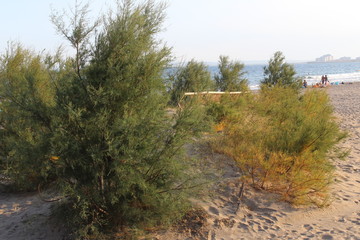 vue de la cote ou front de mer de Roses en Espagne