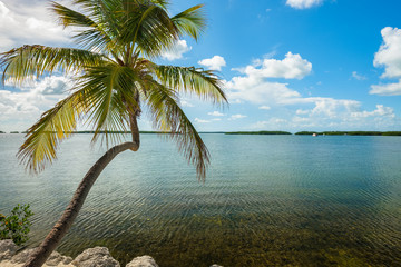 Fototapeta na wymiar Florida Keys seascape