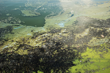 Pollution concept of dirty colorful water surface with garbage and products of human life