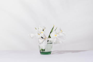 White iris flowers on table on plain light background