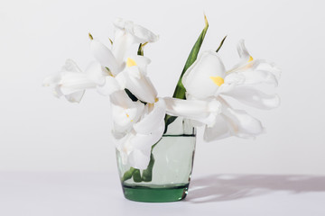 Close-up of white iris flowers on table on plain light background