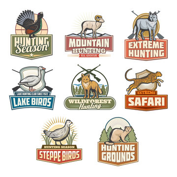 Safari hunting open season vector animals icons