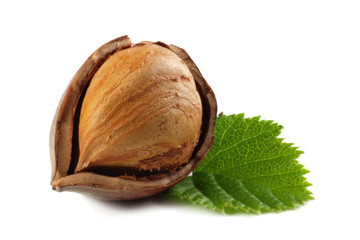 hazelnuts with leaves isolated on white background. macro