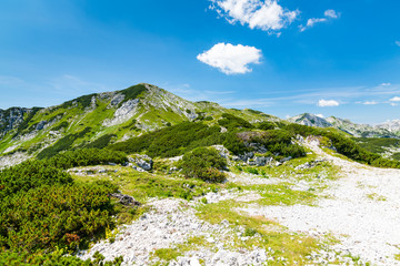 Tourist path in Slovenia mountains near Vogel. Path of top of mountain, green grass, tress, blue sky. Hiking in Europe. Triglav national park, Julian Alps.