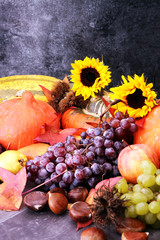 Autumn harvest seasonal fruits and vegetables on grey background.