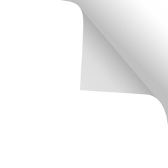 Scroll the page with a shadow on a blank sheet of paper from the right edge at the top. White paper sticker. Vector illustrations for advertising message, design and business projects.