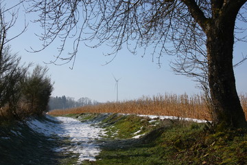 Hiking trail and wind wheel in winterly Luxembourg