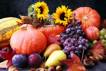 Naklejka premium Autumn harvest seasonal fruits and vegetables on grey background.