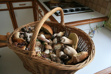 champignons