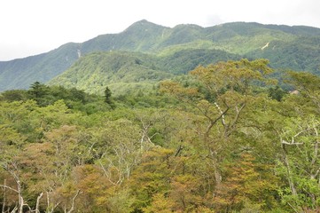 蛭ヶ岳の山林と袖平山