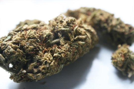 Marijuana Bud Macro Close Up With White Background High Quality 