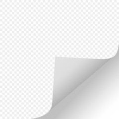 Scroll the page with a shadow on a clean sheet of paper from the right edge at the bottom of the white paper Sticker. Element isolated on a transparent background. Vector illustrations.