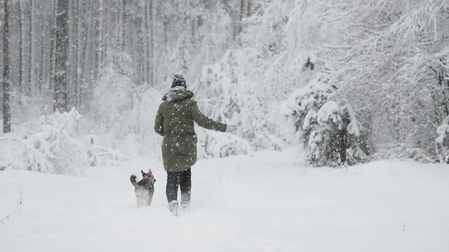 Young Beautiful Caucasian Girl Woman Dressed In Jacket Playing With Puppy Of Mixed Breed Dog In Winter Forest In Snowy Day. Girl And Dog Running Together In Forest Slo-mo Slow Motion Slow-mo