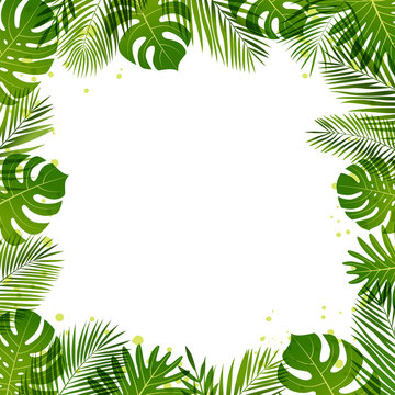 Summer frame of palm leaves. Tropical plants. Vector illustration.