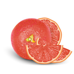 Realistic Pink 3d Grapefruit. Detailed 3d Illustration Isolated On White. Design Element For Web Or Print Packaging. Vector