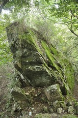 経ヶ岳 経石