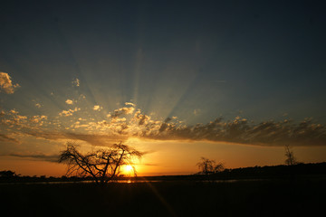 a beautifull sunset casts rays of light through a beautifully shaped cloud