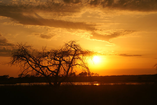 Magnificient African sunset with rays beautiful clouds and a tree silhouette in front