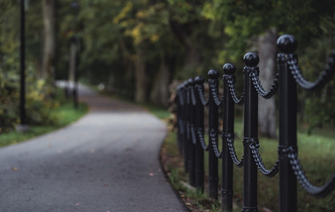 Moody Photo of the Road in a Park, Between Woods - Desaturated, Vintage Look