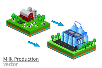 Dairy product delivery stages milk can processing